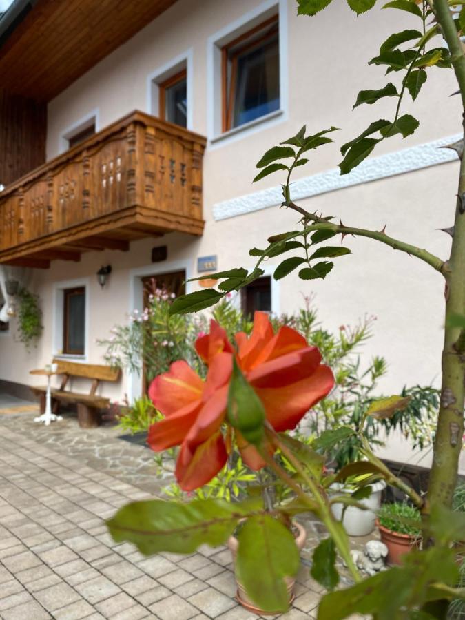 Guesthouse Sabine - Pr' Skminc Bohinjska Bela Dış mekan fotoğraf