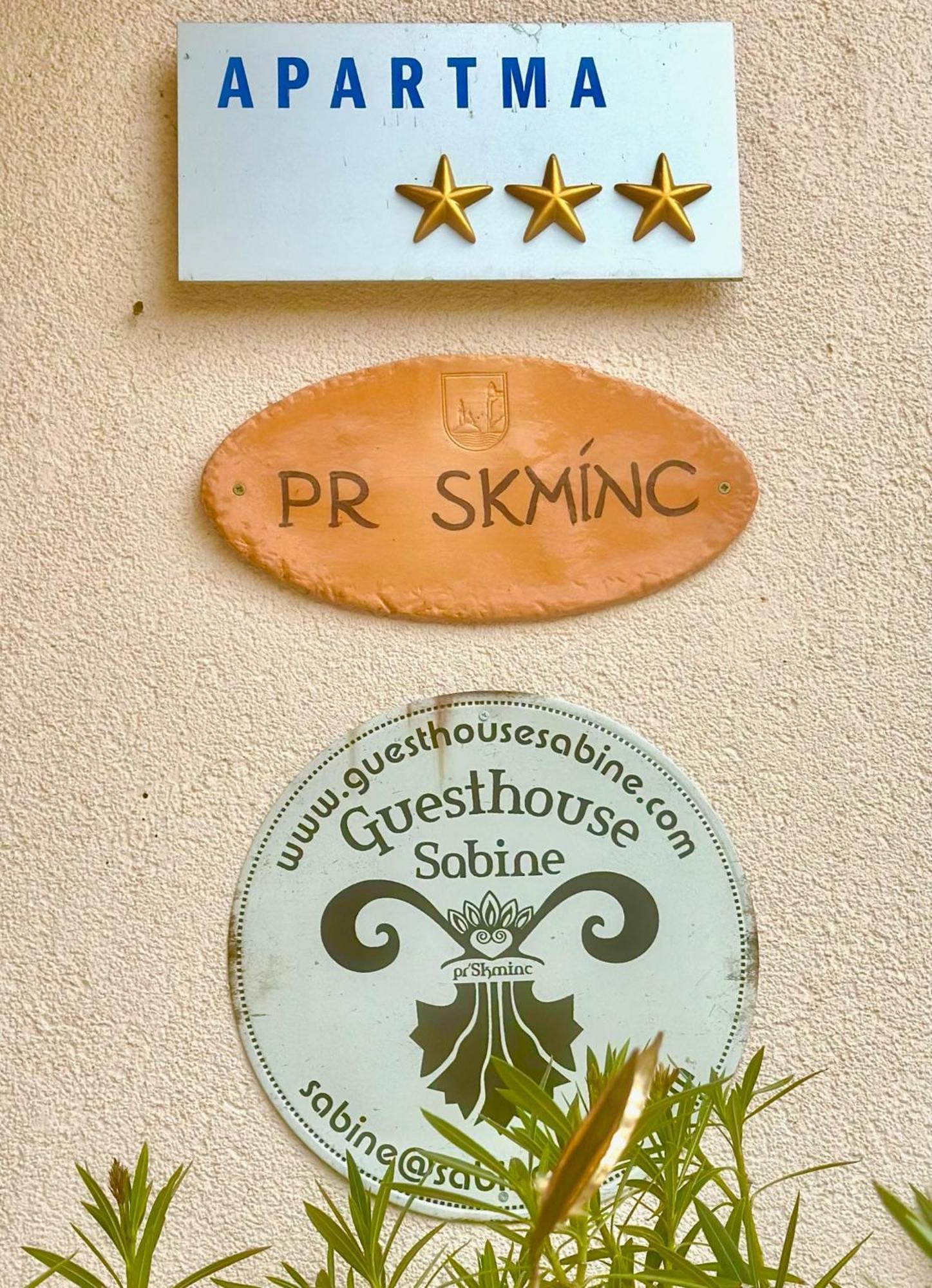 Guesthouse Sabine - Pr' Skminc Bohinjska Bela Dış mekan fotoğraf